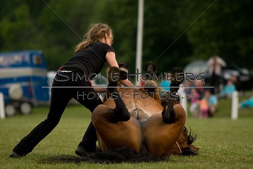 (c)SimoneHomberg_Ponyfest_Schauprogramm_20150606_0823