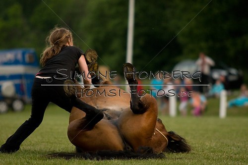 (c)SimoneHomberg_Ponyfest_Schauprogramm_20150606_0824