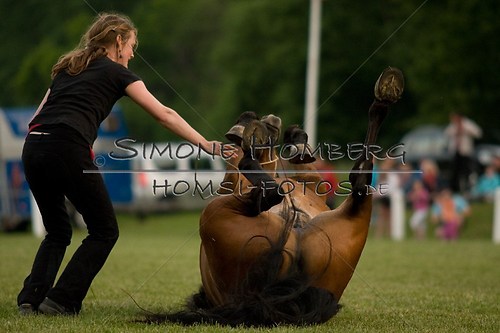 (c)SimoneHomberg_Ponyfest_Schauprogramm_20150606_0825