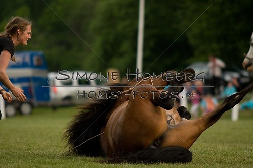 (c)SimoneHomberg_Ponyfest_Schauprogramm_20150606_0828