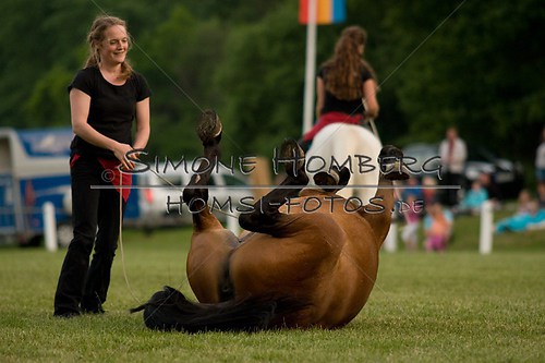 (c)SimoneHomberg_Ponyfest_Schauprogramm_20150606_0829