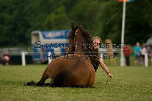 (c)SimoneHomberg_Ponyfest_Schauprogramm_20150606_0832