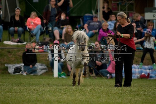 (c)SimoneHomberg_Ponyfest_Schauprogramm_20150606_0834