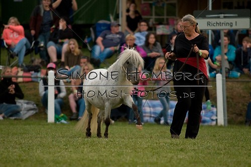 (c)SimoneHomberg_Ponyfest_Schauprogramm_20150606_0835