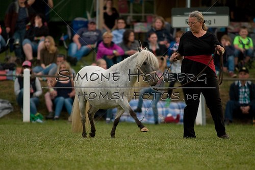 (c)SimoneHomberg_Ponyfest_Schauprogramm_20150606_0836