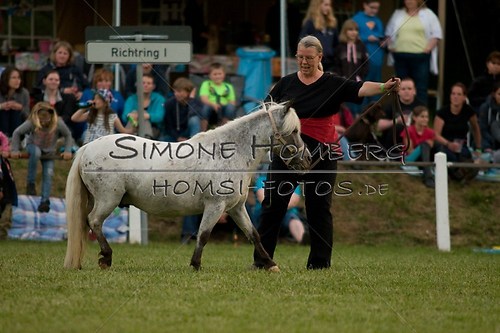 (c)SimoneHomberg_Ponyfest_Schauprogramm_20150606_0837