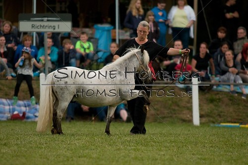 (c)SimoneHomberg_Ponyfest_Schauprogramm_20150606_0838