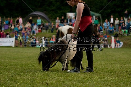 (c)SimoneHomberg_Ponyfest_Schauprogramm_20150606_0839