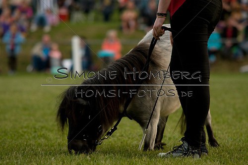 (c)SimoneHomberg_Ponyfest_Schauprogramm_20150606_0840