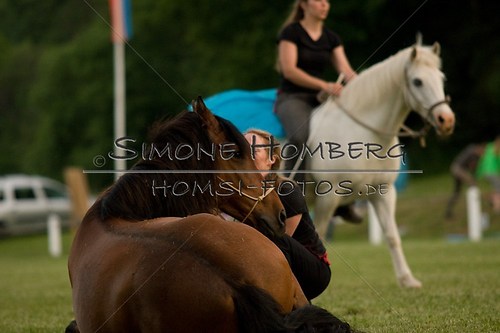 (c)SimoneHomberg_Ponyfest_Schauprogramm_20150606_0842