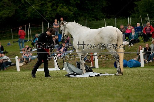 (c)SimoneHomberg_Ponyfest_Schauprogramm_20150606_0844