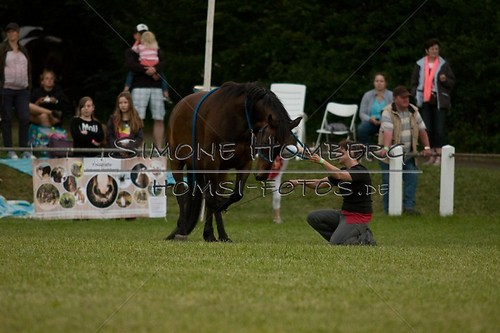 (c)SimoneHomberg_Ponyfest_Schauprogramm_20150606_0845