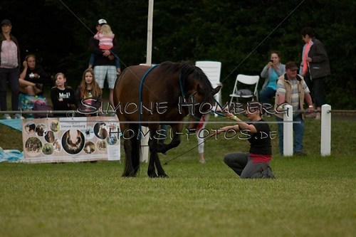 (c)SimoneHomberg_Ponyfest_Schauprogramm_20150606_0846