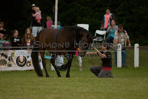 (c)SimoneHomberg_Ponyfest_Schauprogramm_20150606_0847