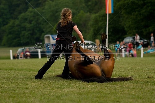(c)SimoneHomberg_Ponyfest_Schauprogramm_20150606_0848