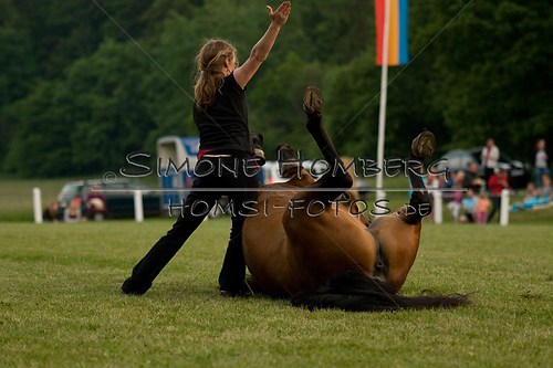 (c)SimoneHomberg_Ponyfest_Schauprogramm_20150606_0849