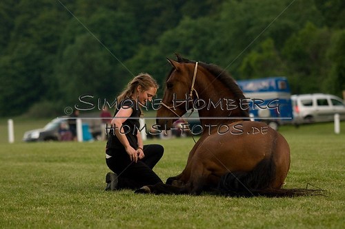 (c)SimoneHomberg_Ponyfest_Schauprogramm_20150606_0851