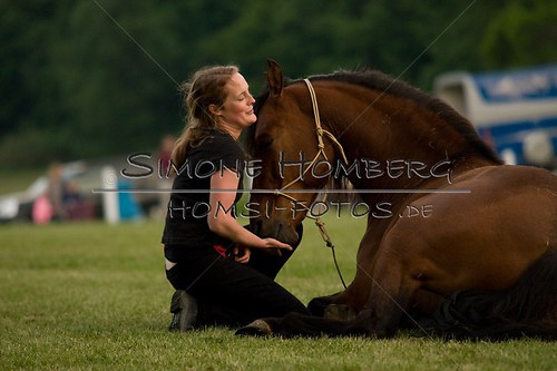 (c)SimoneHomberg_Ponyfest_Schauprogramm_20150606_0853