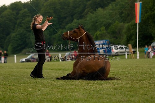 (c)SimoneHomberg_Ponyfest_Schauprogramm_20150606_0855