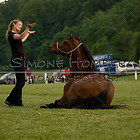 Schauprogramm Teil 3