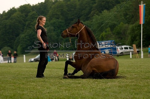 (c)SimoneHomberg_Ponyfest_Schauprogramm_20150606_0856