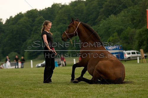 (c)SimoneHomberg_Ponyfest_Schauprogramm_20150606_0857