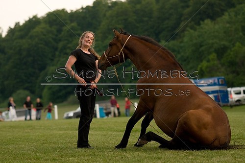 (c)SimoneHomberg_Ponyfest_Schauprogramm_20150606_0858
