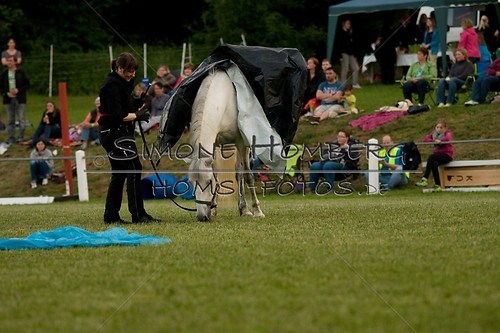 (c)SimoneHomberg_Ponyfest_Schauprogramm_20150606_0859