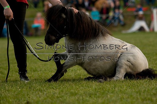 (c)SimoneHomberg_Ponyfest_Schauprogramm_20150606_0861