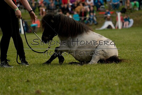 (c)SimoneHomberg_Ponyfest_Schauprogramm_20150606_0862