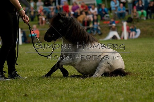 (c)SimoneHomberg_Ponyfest_Schauprogramm_20150606_0863