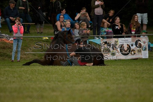 (c)SimoneHomberg_Ponyfest_Schauprogramm_20150606_0864