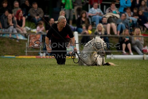 (c)SimoneHomberg_Ponyfest_Schauprogramm_20150606_0866
