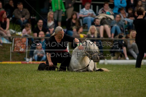 (c)SimoneHomberg_Ponyfest_Schauprogramm_20150606_0867