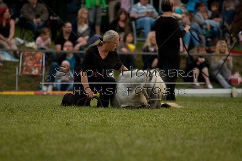 (c)SimoneHomberg_Ponyfest_Schauprogramm_20150606_0868