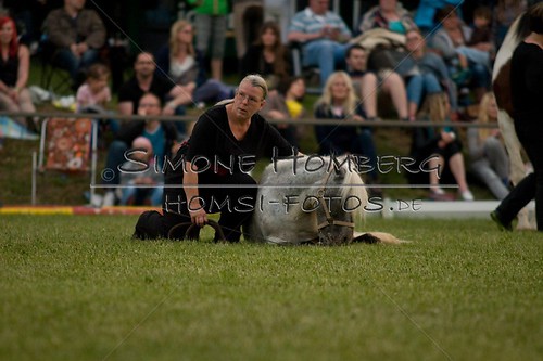 (c)SimoneHomberg_Ponyfest_Schauprogramm_20150606_0869