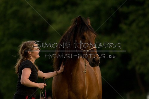 (c)SimoneHomberg_Ponyfest_Schauprogramm_20150606_0870