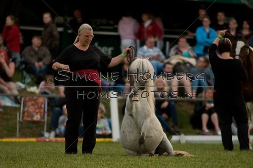 (c)SimoneHomberg_Ponyfest_Schauprogramm_20150606_0871