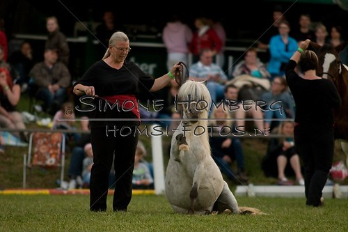(c)SimoneHomberg_Ponyfest_Schauprogramm_20150606_0872