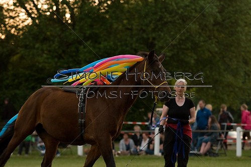 (c)SimoneHomberg_Ponyfest_Schauprogramm_20150606_0875