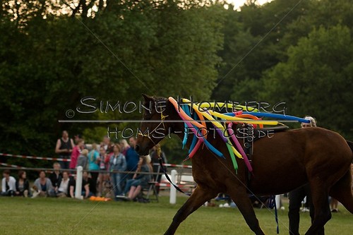 (c)SimoneHomberg_Ponyfest_Schauprogramm_20150606_0876