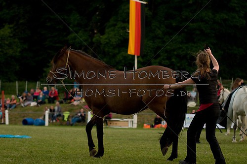 (c)SimoneHomberg_Ponyfest_Schauprogramm_20150606_0877