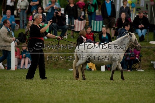 (c)SimoneHomberg_Ponyfest_Schauprogramm_20150606_0878