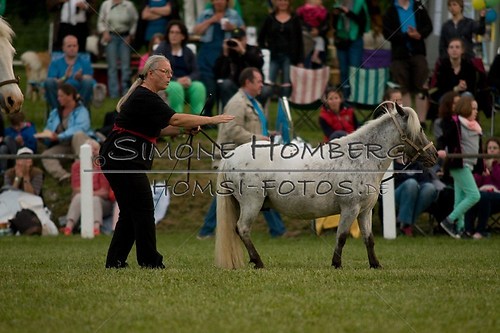(c)SimoneHomberg_Ponyfest_Schauprogramm_20150606_0879