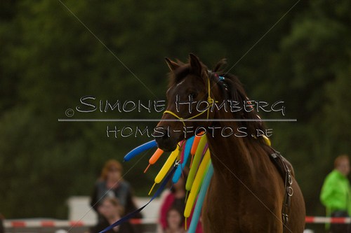 (c)SimoneHomberg_Ponyfest_Schauprogramm_20150606_0880