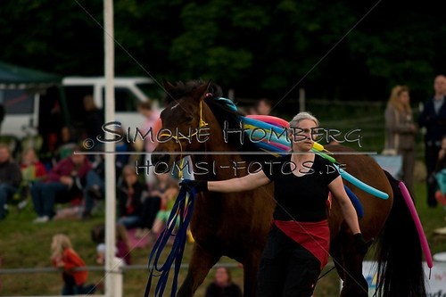 (c)SimoneHomberg_Ponyfest_Schauprogramm_20150606_0882