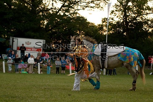(c)SimoneHomberg_Ponyfest_Schauprogramm_20150606_0883