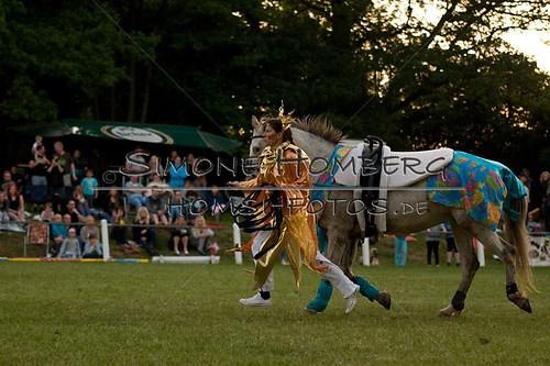 (c)SimoneHomberg_Ponyfest_Schauprogramm_20150606_0884
