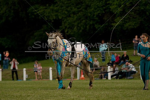 (c)SimoneHomberg_Ponyfest_Schauprogramm_20150606_0886