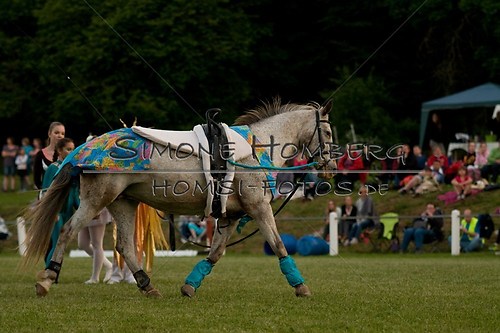 (c)SimoneHomberg_Ponyfest_Schauprogramm_20150606_0887